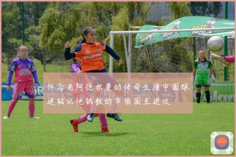 怀念老阿德尔曼的传奇生涯中国球迷铭记他执教的华丽国王进攻